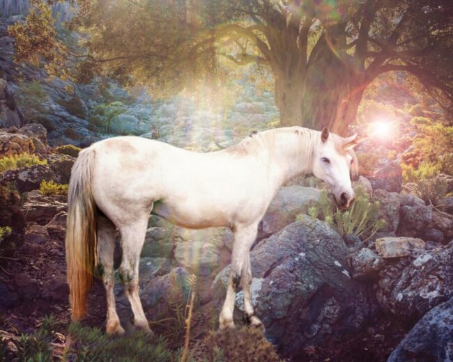 Read more about the article THE WINGED UNICORN MEDITATION